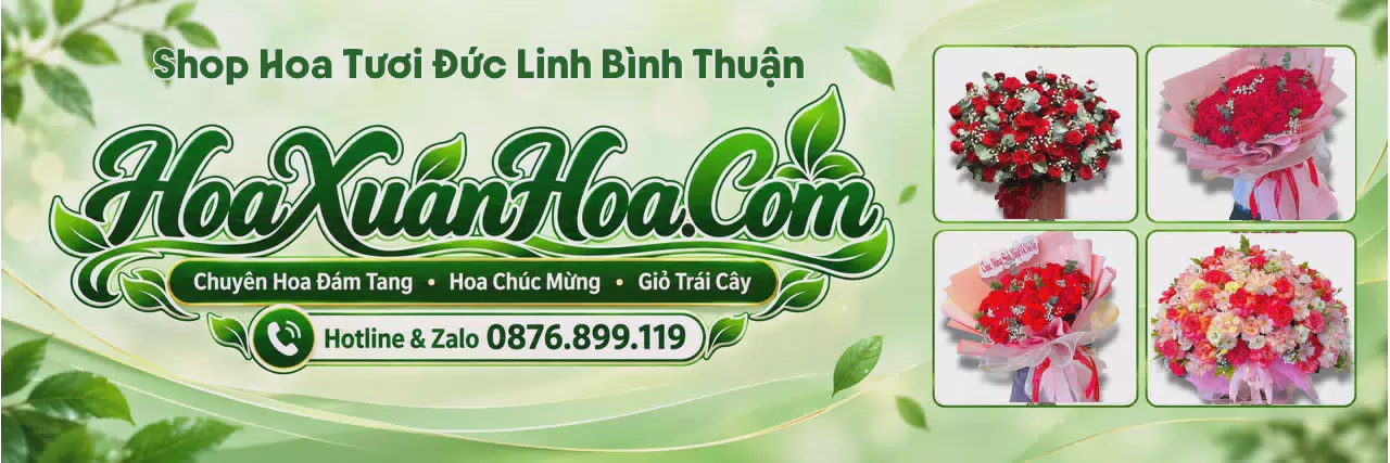Ảnh bìa Shop Hoa Tươi Tại Đức Linh Bình Thuận - Dịch Vụ Hoa Tươi Giao Nhanh