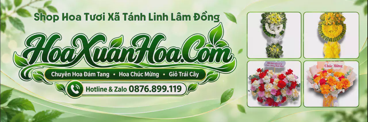 Ảnh bìa Shop Hoa Tươi Tại Xã Tánh Linh Lâm Đồng - Tiệm Hoa Tươi Gần Đây