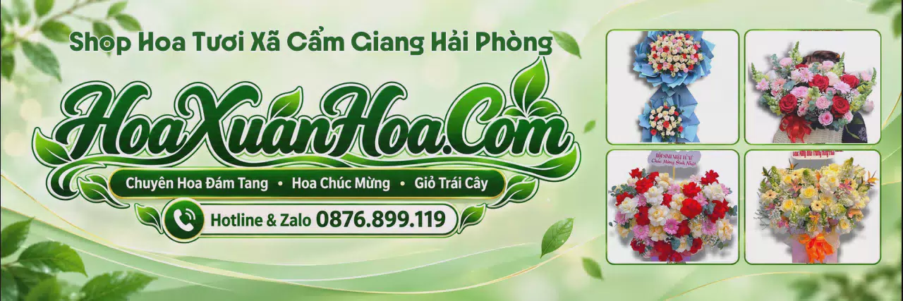 Ảnh bìa Shop Hoa Tươi Tại Xã Cẩm Giang Hải Phòng - Đặt Hoa Online Giao Nhanh