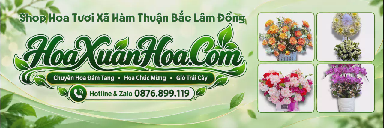 Ảnh bìa Shop Bán Hoa Tươi Tại Xã Hàm Thuận Bắc Lâm Đồng - Đặt Hoa Online Giao Tận Nhà