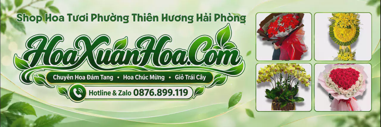 Ảnh bìa Tiệm Hoa Tươi Tại Phường Thiên Hương Hải Phòng - Dịch Vụ Hoa Tươi Tận Nơi
