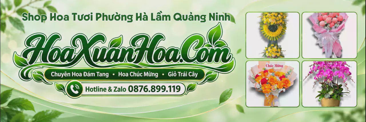 Ảnh bìa Cửa Hàng Bán Hoa Tươi Tại Phường Hà Lầm Quảng Ninh - Dịch Vụ Hoa Tươi Tận Nơi