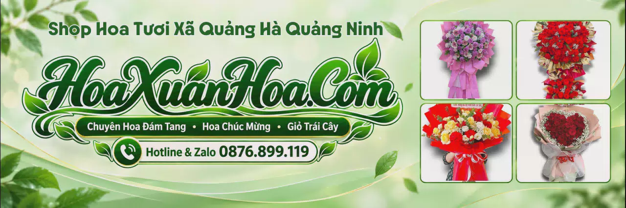 Ảnh bìa Tiệm Hoa Tươi Tại Xã Quảng Hà Quảng Ninh - Đặt Hoa Online Tiện Lợi