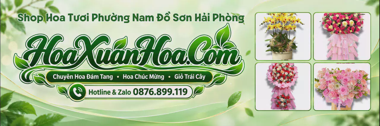 Ảnh bìa Shop Hoa Tươi Tại Phường Nam Đồ Sơn Hải Phòng - Đặt Hoa Online Tiện Lợi