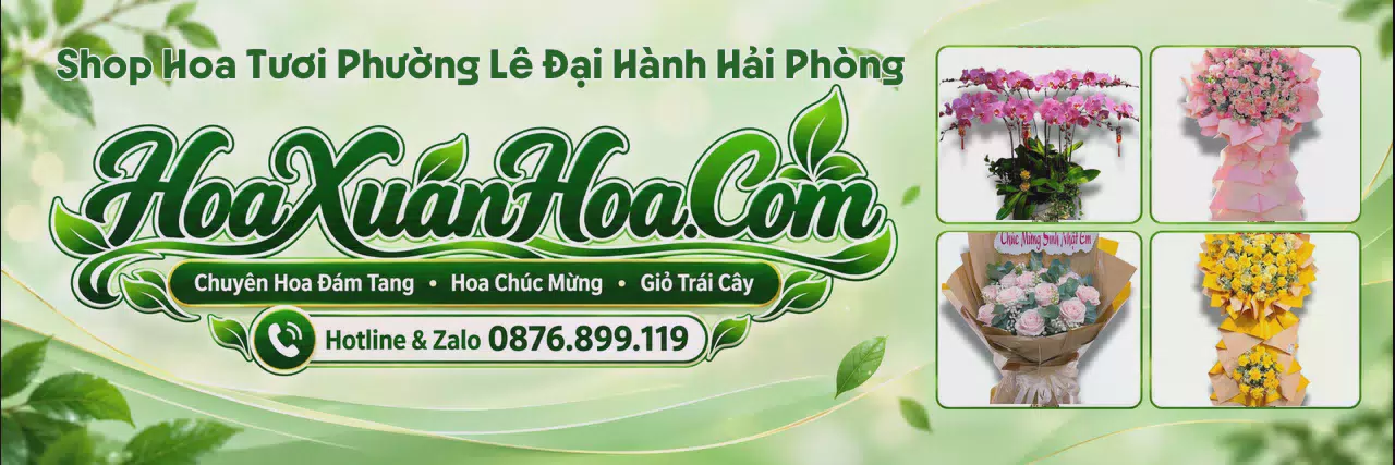 Ảnh bìa Shop Bán Hoa Tươi Tại Phường Lê Đại Hành Hải Phòng - Shop Hoa Giao Tận Nhà