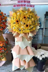 Hình ảnh hoa thực tế