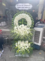 Hình ảnh hoa thực tế