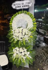 Hình ảnh hoa thực tế